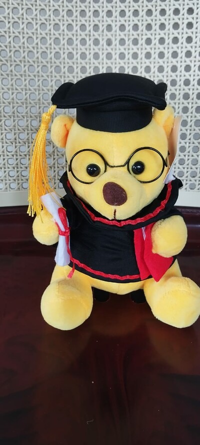 Graduation teddy bear