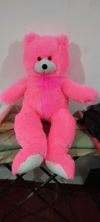 2.5 teddy bear