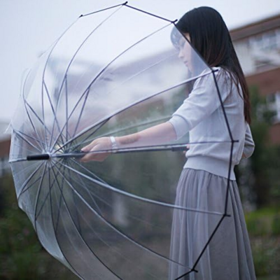 Large Transparent Umbrella