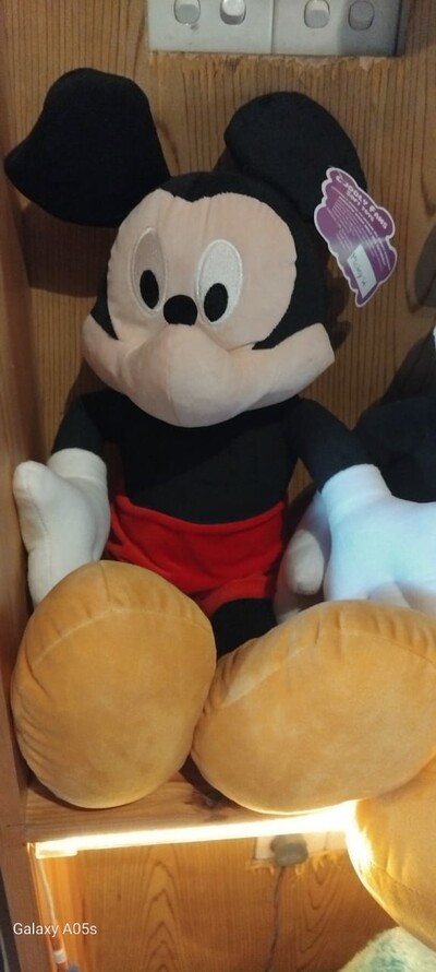 Mickey mouse 14'